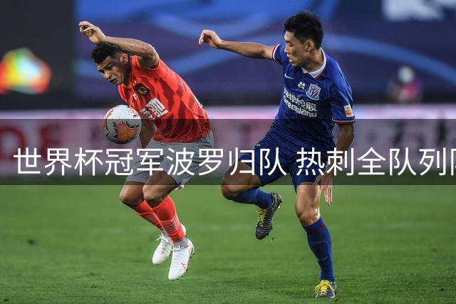 世界杯冠军波罗归队 热刺全队列队相迎