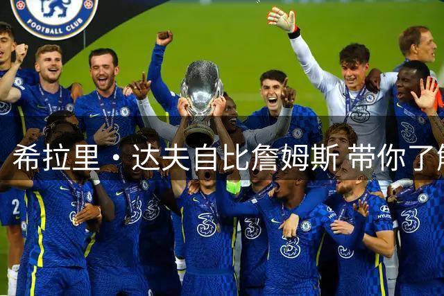 希拉里·达夫自比詹姆斯 带你了解迪士尼初代甜心